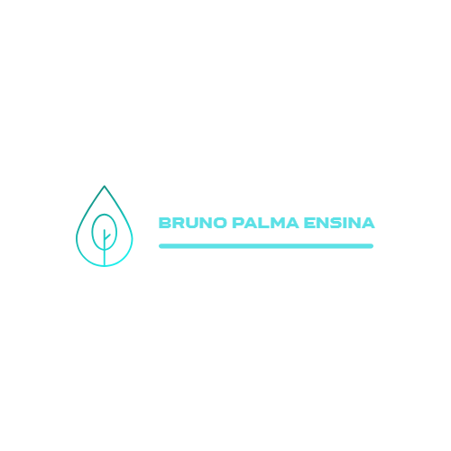 Bruno Palma Ensina