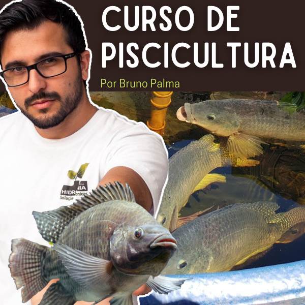 Curso de Piscicultura Online | Domine a Criação de Peixes